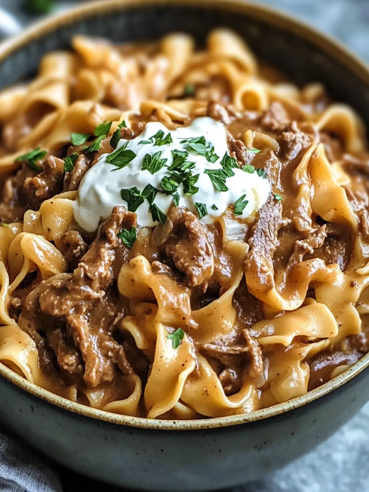 Crock Pot French Onion Beef and Noodles for Cozy Nights 3 Crock Pot French Onion Beef and Noodles