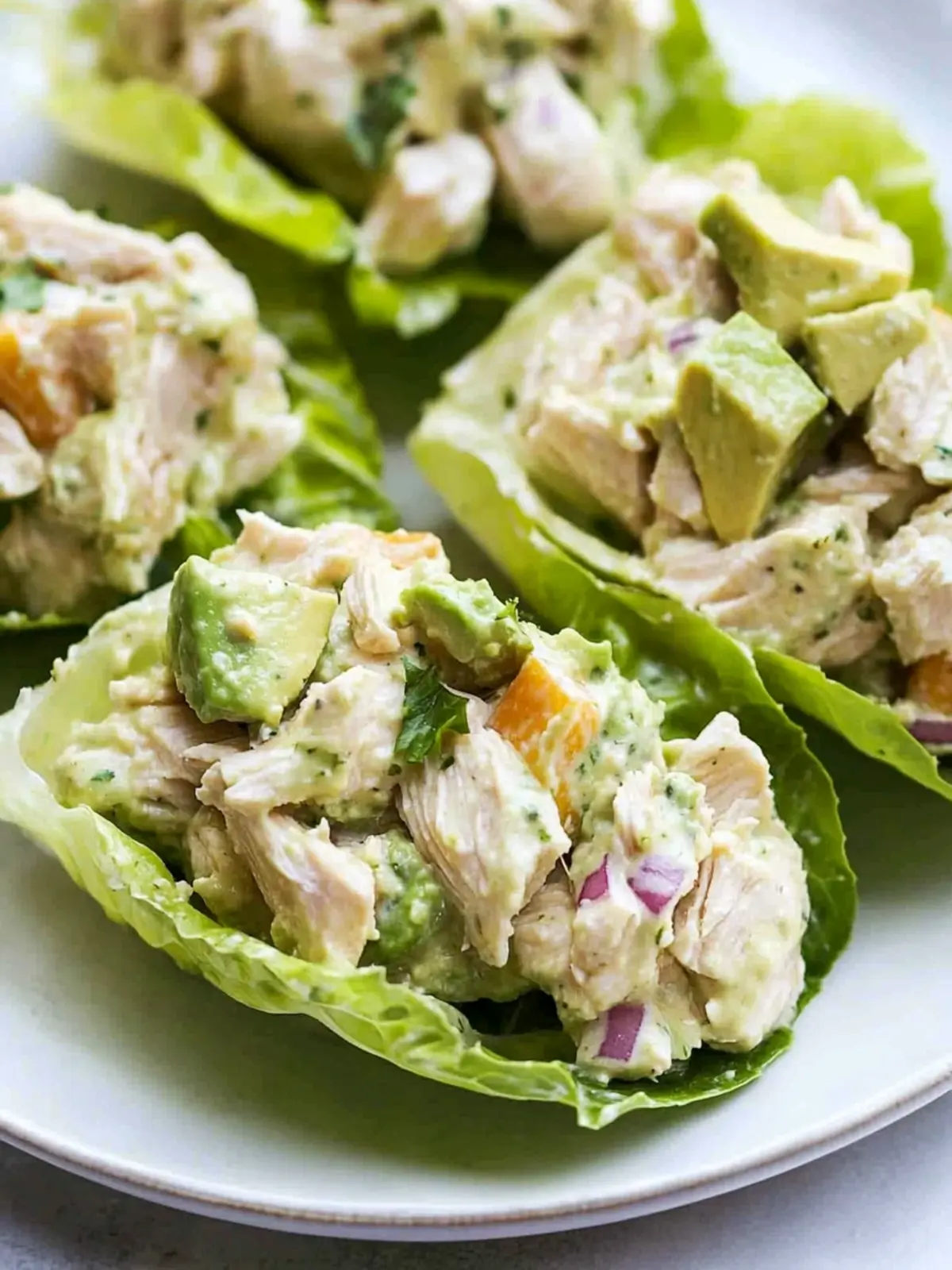 Avocado Chicken Salad Lettuce Wraps for Fresh, Guilt-Free Lunch 2 Avocado Chicken Salad Lettuce Wraps